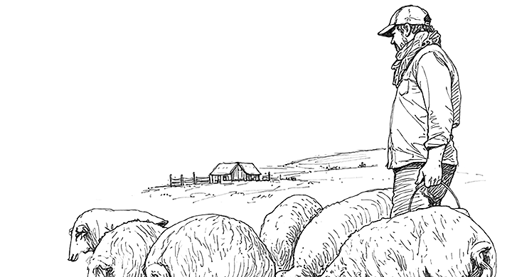 james and pigs line art