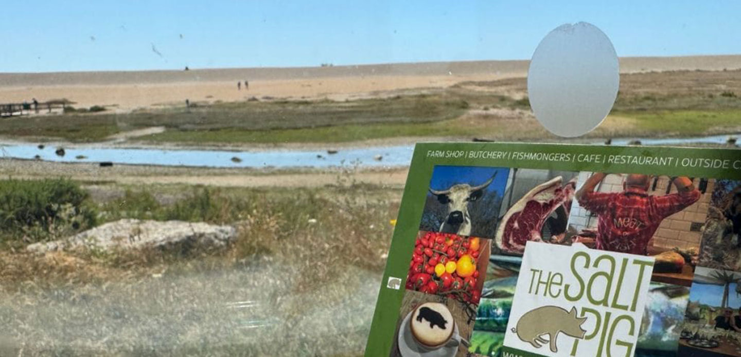 Pebble Pig Chesil Beach